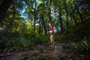 BIB: 
                            <button type="button" onclick="openModal(19230230)" class="btn btn-primary btn-sm float-right btn-popup" data-toggle="modal" data-target=".modal-high-quality">
                        <i class="fas fa-shopping-cart"></i> Add to Cart
                    </button>
                                            <button type="button" onclick="isThisMe(19230230, true)" class="btn btn-success btn-sm float-right btn-popup btn-isme hidden" data-toggle="tooltip" data-placement="bottom" title="นี่คือรูปของคุณใช่ไหม คลิกที่นี่เพื่อเอาเข้าอัลบั้ม">
                        <i class="fas fa-plus"></i> Add to album
                    </button>
                    <button type="button" onclick="isThisMe(19230230, false)" class="btn btn-warning btn-sm float-right btn-popup btn-isnotme hidden">
                        <i class="fas fa-ban"></i> Remove from album
                    </button>